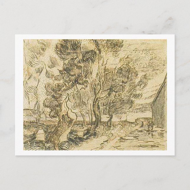 Carte Postale Coin Asile et Jardin, Vincent van Gogh (Devant)