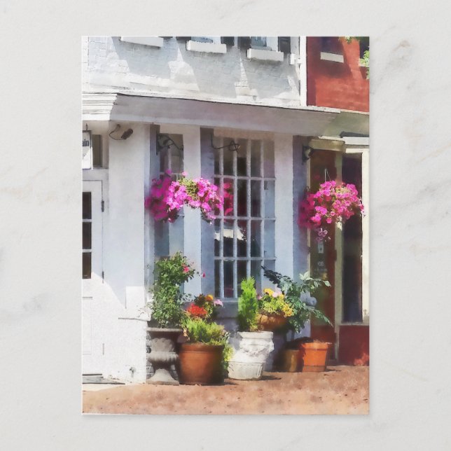 Carte Postale Coin de King Street et S Alfred Alexandria VA (Devant)