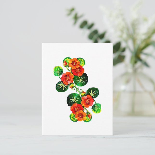 Carte Postale coleção Flores do Brasil capuchinha,  (Debout devant)