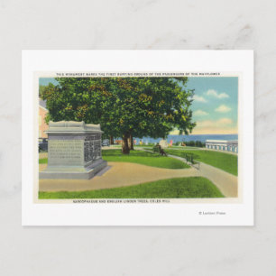 Carte Postale Coles Hill Vue du monument funéraire de Mayflower