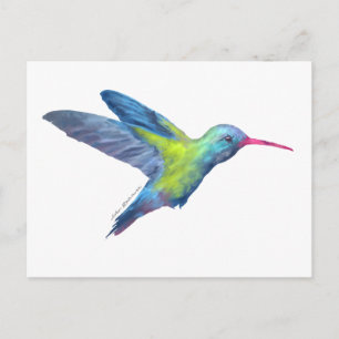 Carte Postale Colibri