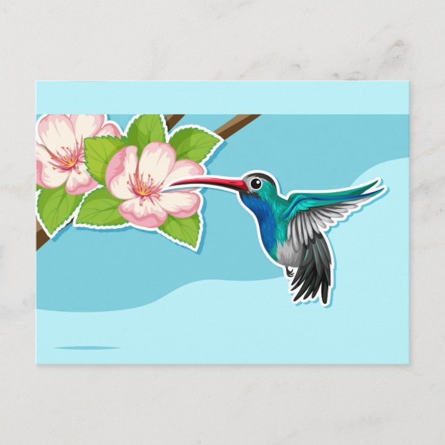 Carte postale Colibri (Devant)