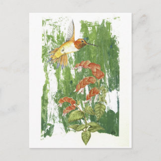 Carte Postale Colibri