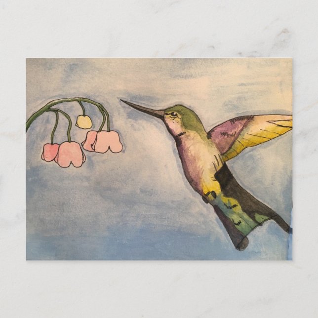 Carte Postale Colibri (Devant)