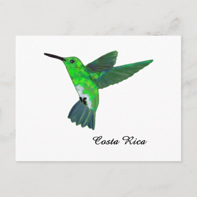 Carte Postale Colibri (Devant)