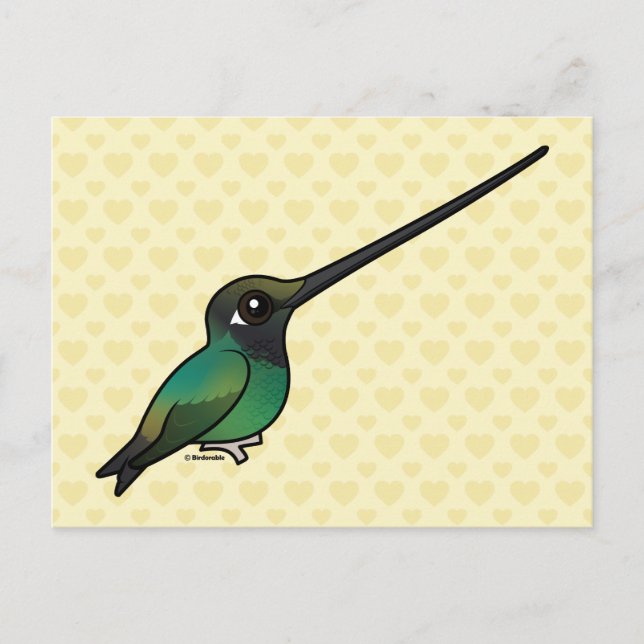 Carte Postale Colibri à bec épée perché (Devant)