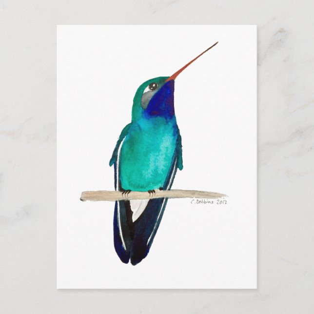 Carte Postale Colibri à bec large (Devant)