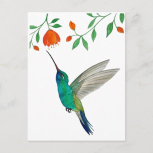 Carte Postale Colibri à gorge bleue