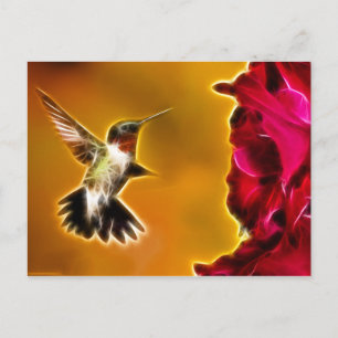 Carte Postale Colibri à gorge rubis