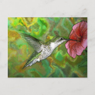 Carte Postale Colibri à gorge rubis