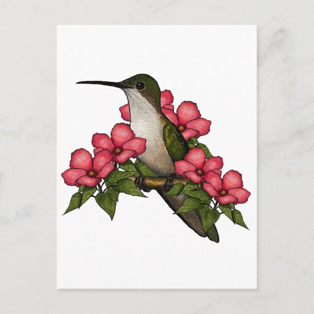 Carte Postale Colibri Aux Fleurs Roses : Art de la nature (Devant)