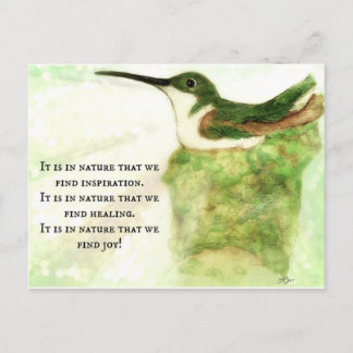 Carte Postale Colibri - C'est dans la nature que nous trouvons l
