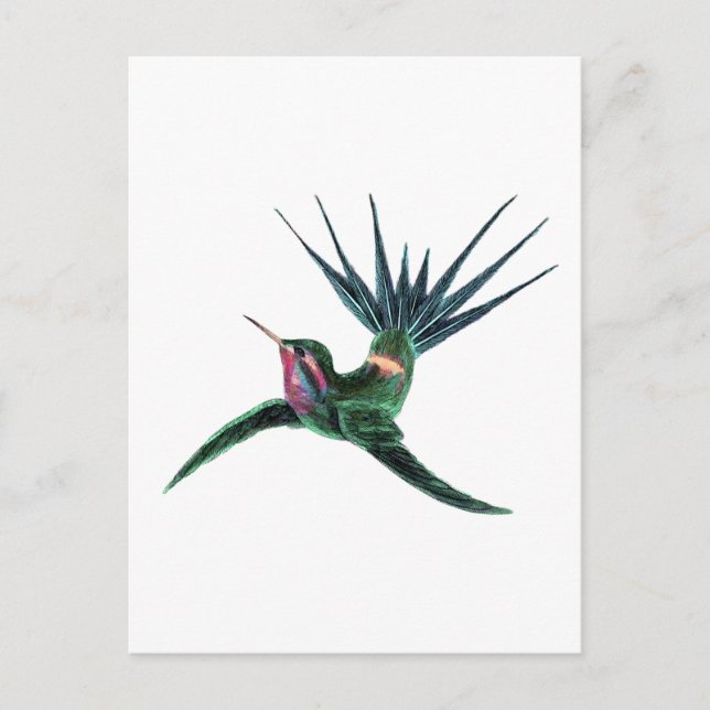 Carte Postale Colibri coloré (Devant)