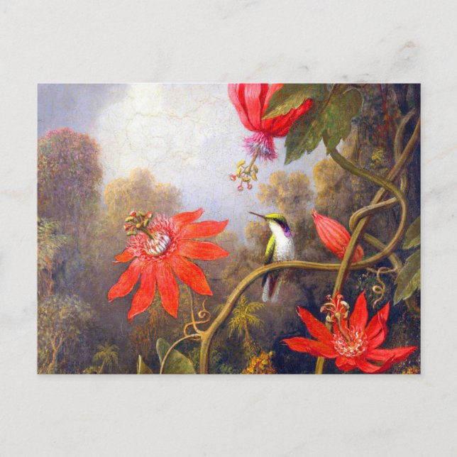 Carte Postale Colibri et Passiflora par Martin Johnson Heade (Devant)