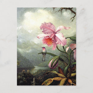 Carte Postale Colibri perché, art fin,