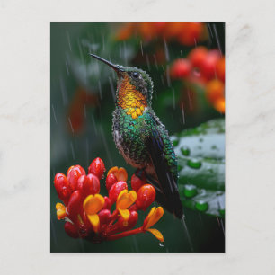 Carte Postale Colibri perché sur une fleur vive