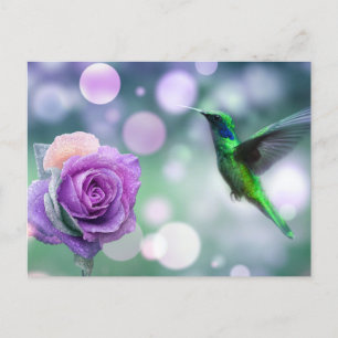 Carte Postale Colibri & Rose - Vert & Rose