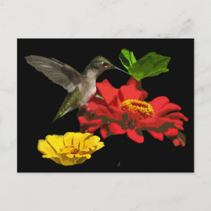 Carte Postale Colibri sur Zinnias