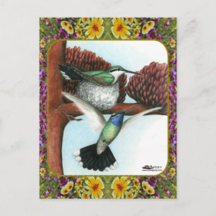 Carte Postale Colibris et fleurs #3