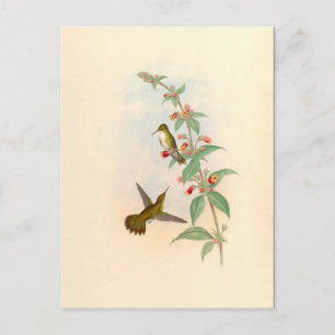 Carte postale Colibris & Fleurs