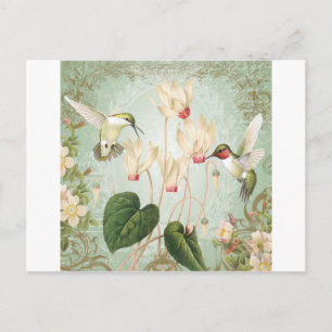 Carte Postale Colibris Vintages