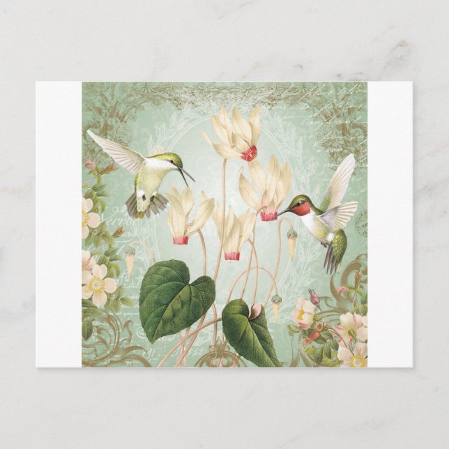 Carte Postale Colibris Vintages (Devant)