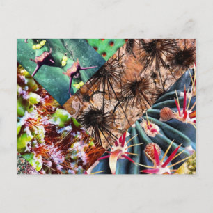 Carte postale Collage Cactus