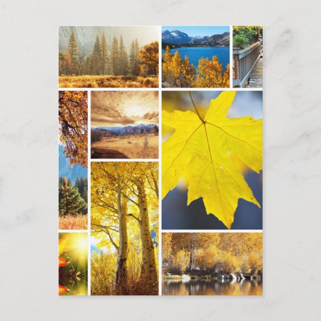 Carte Postale Collage d'automne (Devant)