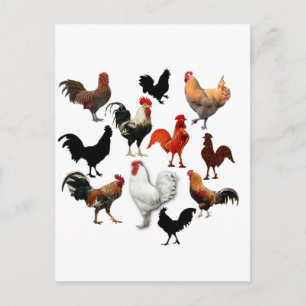 Carte Postale Collage de coq Poulets Vintages rustiques