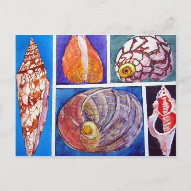 Carte Postale Collage de coquillages (Devant)