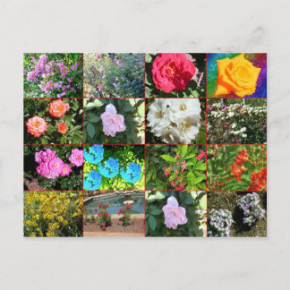 Carte postale Collage de fleurs