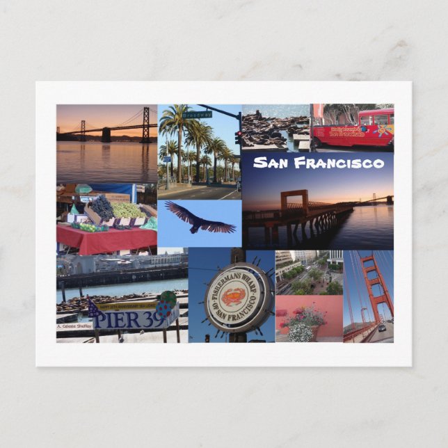 Carte Postale Collage de photos de San Francisco (Devant)