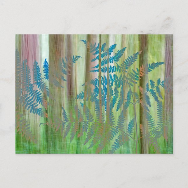 Carte Postale Collage des fougères et forêts de Bracken | Seabec (Devant)