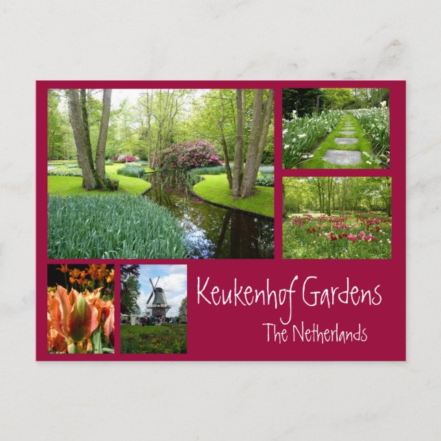Carte Postale Collage des jardins de Keukenhof (Devant)