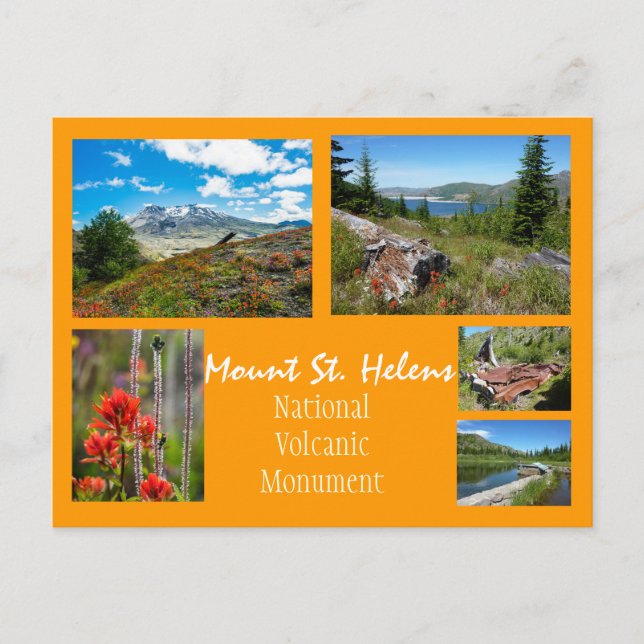 Carte Postale Collage du mont St. Helens (Devant)