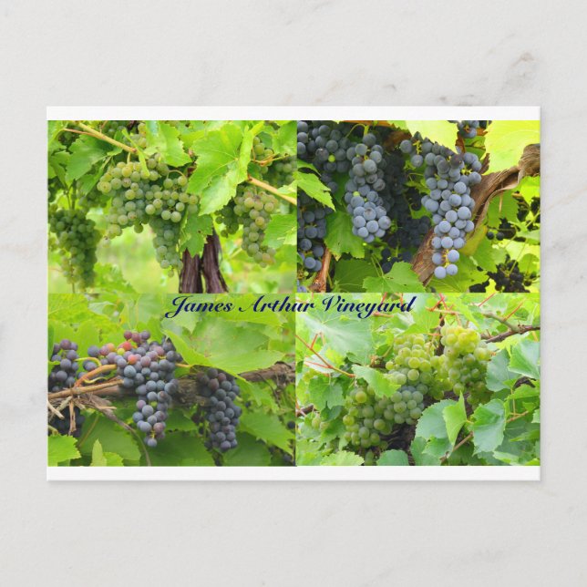 Carte postale Collage JAV 2013 9 (Devant)