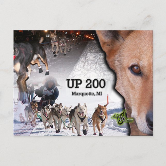 Carte postale Collage jusqu'à 200 (Devant)