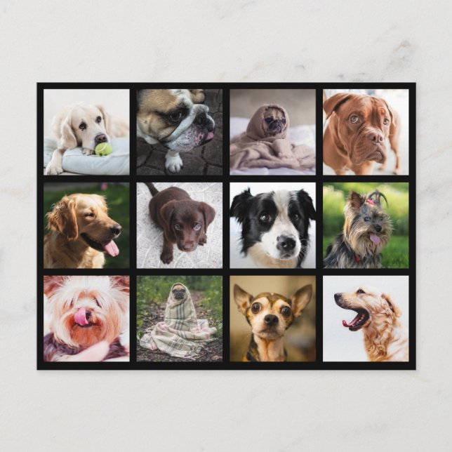 Carte postale Collage photo de chiens mignons et a (Devant)