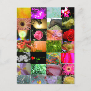 Carte Postale Collage varié