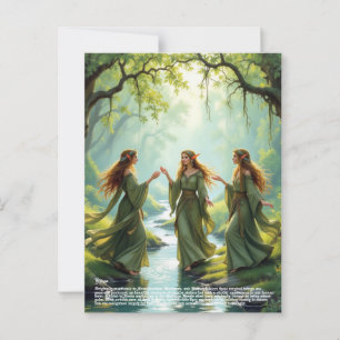 Carte Postale Collecte d'elf