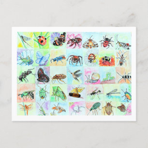 Carte Postale Collection de bogues d'été en aquarelle