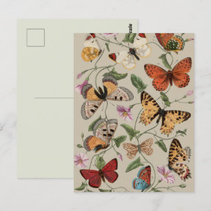 Carte Postale Collection de la papillon Moth Nature Dessin