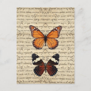 Carte Postale Collection de papillons vintages