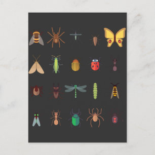 Carte Postale Collection d'insectes Dessin Entomologie mûre