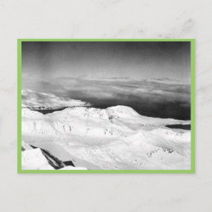 Carte Postale Collection Halter