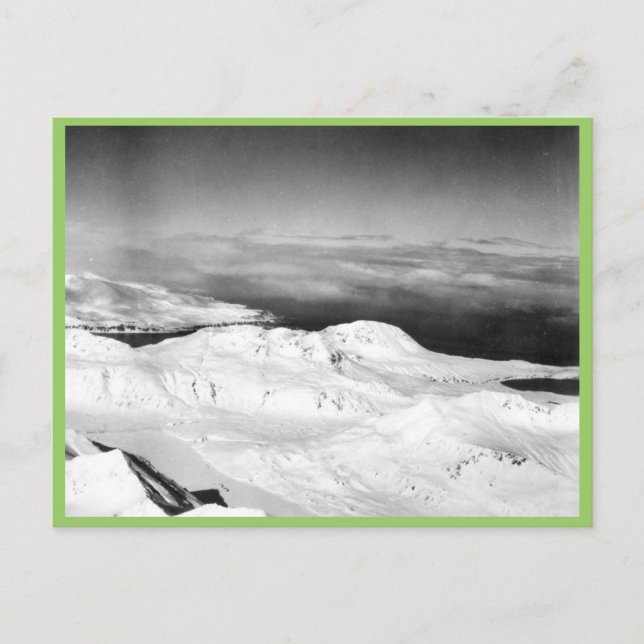 Carte Postale Collection Halter (Devant)