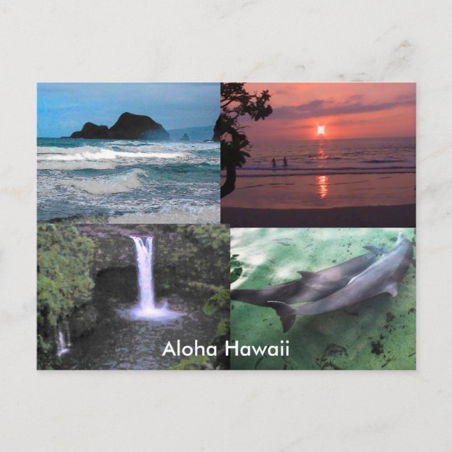 Carte Postale Collection hawaïenne (Devant)