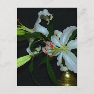 Carte Postale Collection Irlandaise de laiton et de fleurs