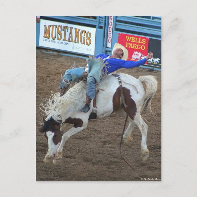 Carte Postale Collection Rodeo - Randonnée sauvage (Devant)