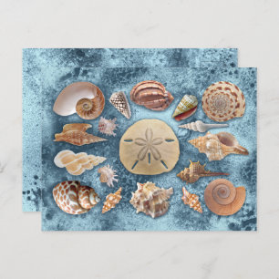 Carte Postale Collection Seashells